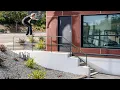 Riley Hawk s Nepotism Part