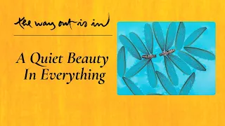 A Quiet Beauty in Everything | TWOII podcast | Episode 111