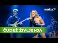 Lagu Ekskluzivni koncert Čudež življenja 2025 z NIKO ZORJAN (Radio 1 in Merkur zavarovalnica)