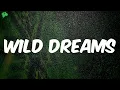 Download Lagu (lyrics) Burna Boy - Wild Dreams