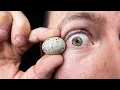 What s Inside our Tiny Eggs