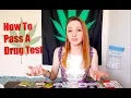 Cleaning Your System Of Weed THC Detox