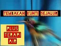 TEMBAKAN KUNTI SEJALUR,kowul nembak kunti,masteran suara kuntilanak untuk pleci ,kenari , cendet dll
