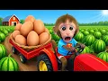 Download Lagu Macaco Bon Bon Come um Sorvete Arco-Íris Delicioso da Carrinha de Sorvetes e Vai ao Cinema