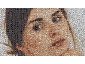 TurboMosaic - Best Photo Mosaic Maker App for Mac Windows PC