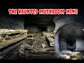 Exploring The HAUNTED Mushroom Mines Olive Hill KY
