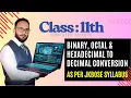 Binary Octal Hexadecimal to Decimal Conversion in Python Class 11 Computer Science