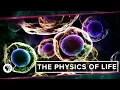 Download Lagu The Physics of Life (ft. It's Okay to be Smart \u0026 PBS Eons!)