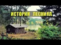 Download Lagu ИСТОРИИ из ЖИЗНИ ЛЕСНИКА НА НОЧЬ СУДЬБА ЖИЗНЬ МЕДВЕДИ ВОЛКИ в ЛЕСУ СЕРИАЛ ВСЕ СЕРИИ