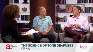 The Science Of Tone Deafness  The Science Of Tone Deafness