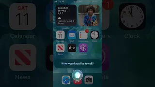 Siri Having A Seizure 