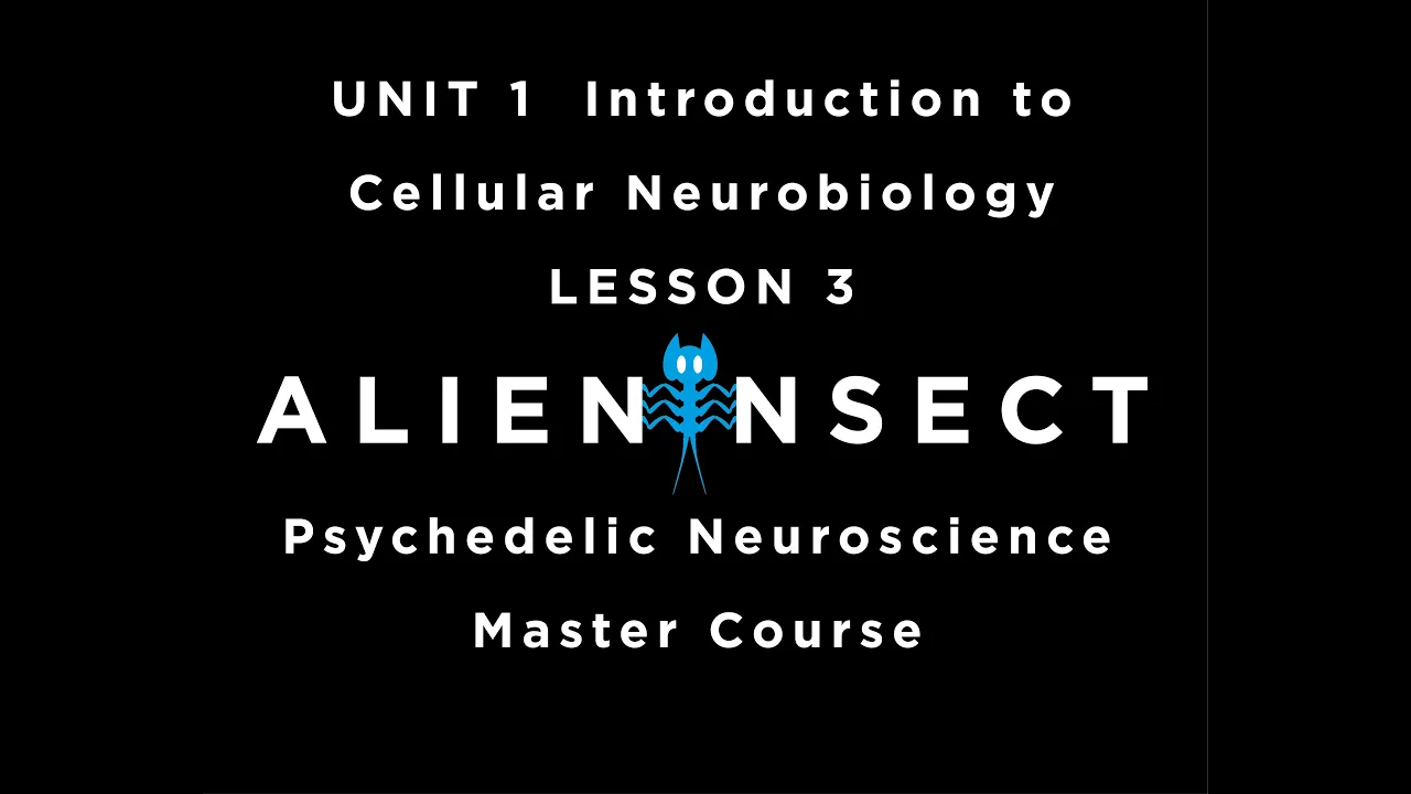 Psychedelics and the Brain Master Course UNIT 1 Introduction to Cellular Neurobiology LESSON 3