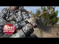 LIVE DAILY NEWS It s Almost Deer Season