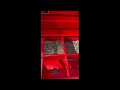 Saya 505 No Till Drill Planting