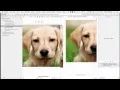 Learn iOS App Development w Swift for FREE - Build your first iPhone App in 45 Mins