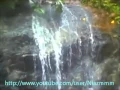 Download Lagu 110 Surah An Nasr  Saad Al Ghamidi