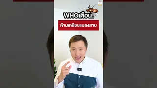  ทำไมเราควรหลีกเลี่ยงการเหยียบแมลงสาบ 