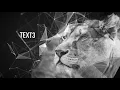 Plexus Style Opener After Effects Templates