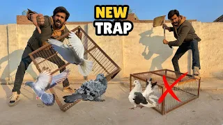 New Pigeon Trap Order Kar Diya 🤩
