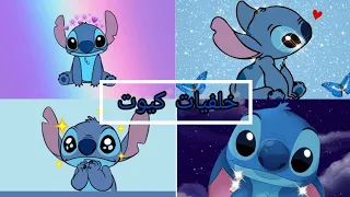 خلفيات بنات كيوت خلفيات دب ازرق كيوت صور كيوت خلفيات رائعة Fonds ďècran 