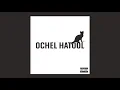 Omri Kaplan - APA (official audio)