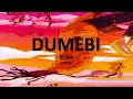 DUMEBI - Rema (Lyrics)
