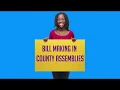 The Bill making process in a county assembly