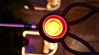 كاسيليا بشكل جديد كاسيليا بشكل جديد أبرز المعجبين 