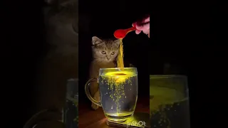 ترند الكركم Cute ترند كركم Song Love اساورخرز اكسبلور اكسبلور 