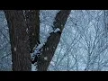 Ludovico Einaudi — “Indaco” [Extended] (1 Hr.)