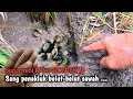 Download Lagu TAK DI RAGUKAN LAGI‼️ PANCING BELUT SUPER MINI YANG WAJIB KALIAN MILIKI