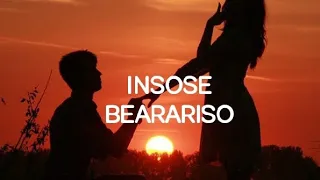 insose bearariso 