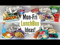 5 Easy Cheap Lunch Ideas Quick FUN Healthy Lunchbox Meals for School Work Home