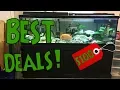 How and Where To Get Cheap Fish Tanks - MY SECRET TIPS REVEALED