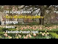 Lagu • Di Ujung Jalan • Kau Masih Kekasihku • Mangu • Sorai • Terlatih Patah Hati
