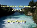 Download Lagu Larim wara i ron namel lo ples i dry - New Breed