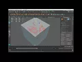 MAYA Selection Modes and Symmetry