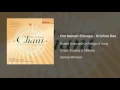 Download Lagu Robert Gass and On Wings of Song - Om Namah Shivaya - Krishna Das