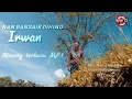 Download Lagu Irwan ll Nan Bansaik Dihino