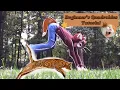 Beginner s Quadrobics Tutorial ALL FORMS updated