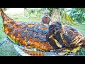 Lagu REUZENVIS GEKOOKT IN ZOUT | Village Healthy Fish recept | Opa Volledige Show