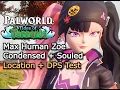 Download Lagu Zoe (No Grizzbolt) DPS Test \u0026 Max Stats - Tides of Terraria