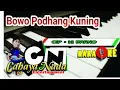 Download Lagu Bowo + Podhang kuning - karaoke @AgusTogex , Cover ( Langgam )