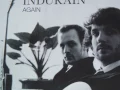 INDURAIN - Poor Boy (Howlin' Wolf)