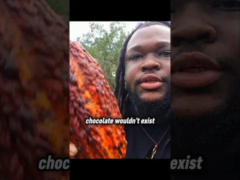 Goodbye Real Chocolate... 🍫