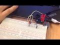 EECS 1021 Lab 1