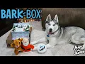 BarkBox Unboxing December 2021 Christmas Box