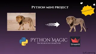 Python Background Remover Web App Streamlit Mini Project for Beginners