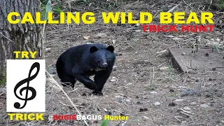 Download Calling Wild Bear, Suara Panggil Beruang Trick Hunt MP3