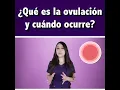 What is ovulation and when does it occur Dr Pau Zuniga CLIPS